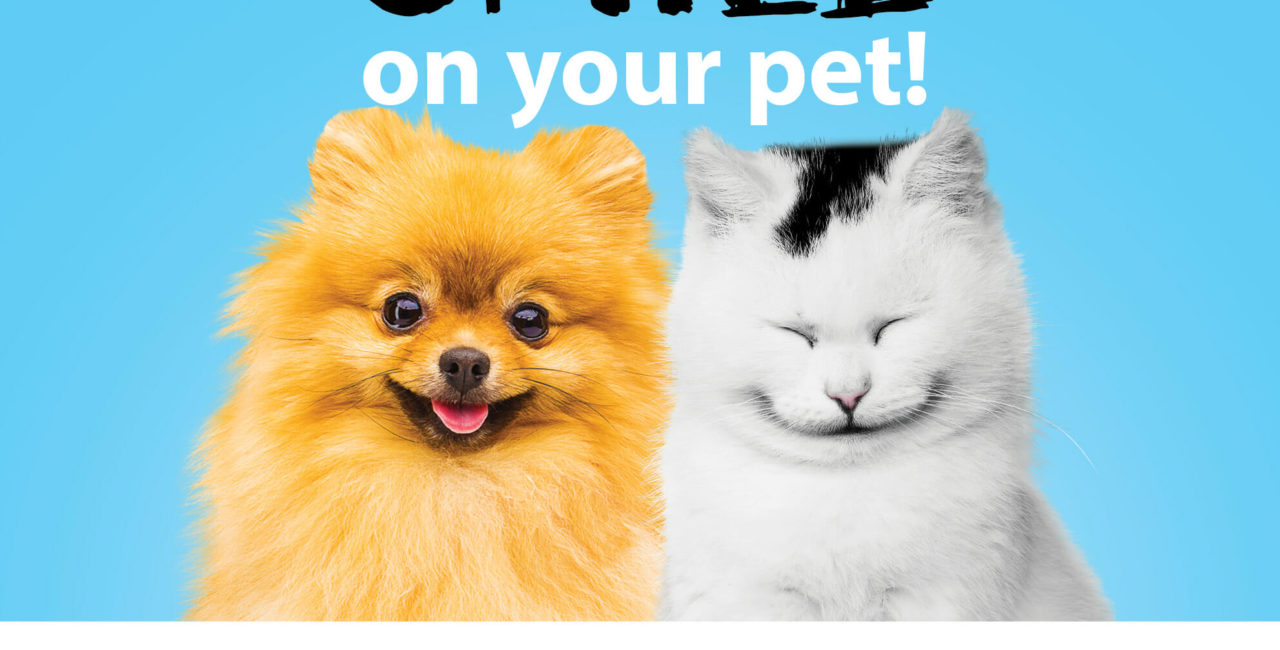 Help place a smile on your pet poster