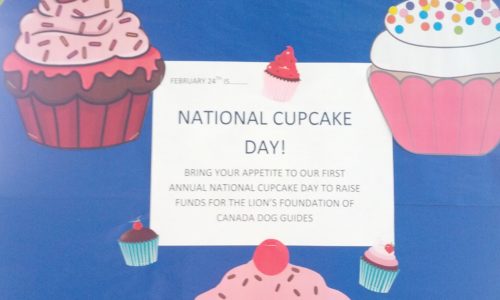 National Cupcake Day event poster