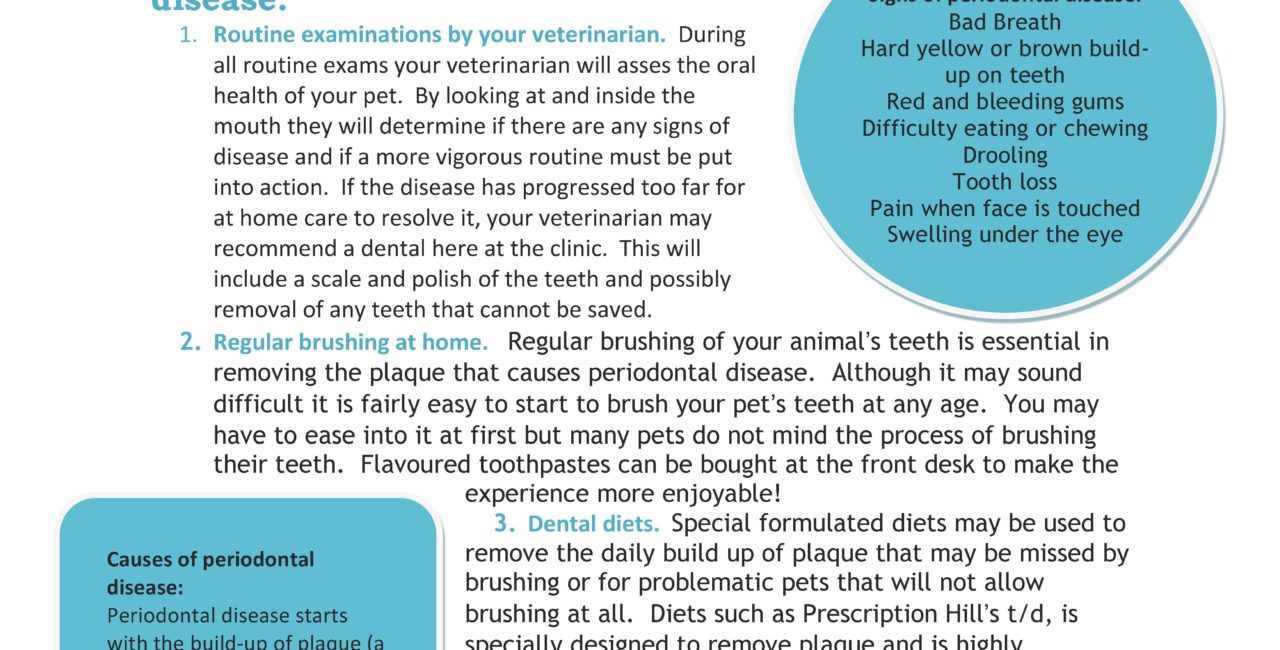 West Hill Animal Clinic Dental Health information