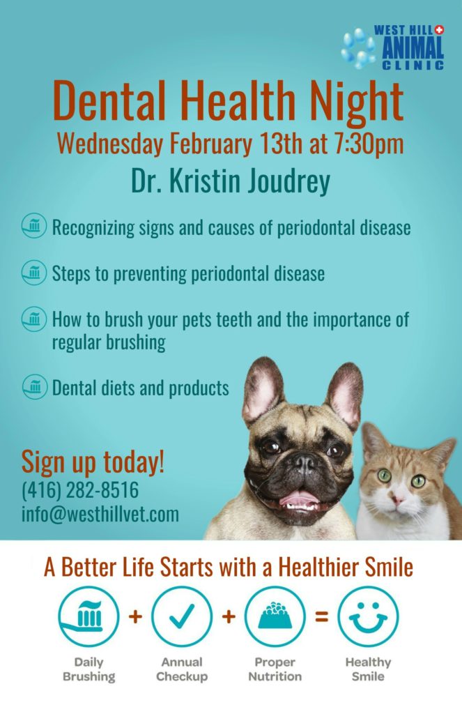 West Hill Animal Clinic Dental Health night event poster