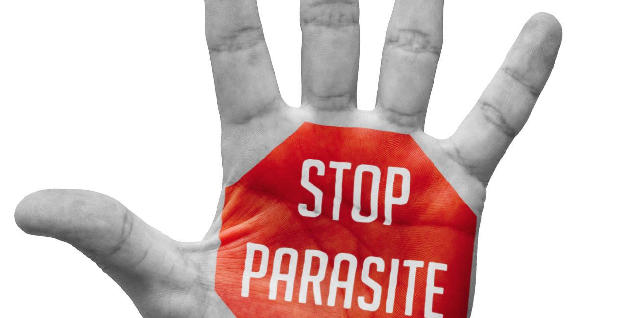 Stop Parasite sign painted on an open hand