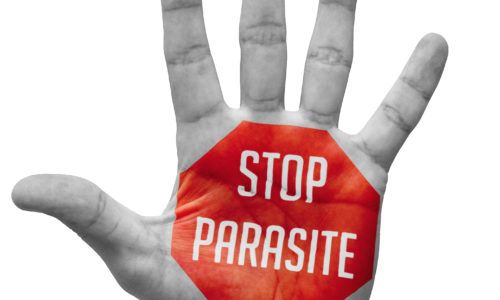 Stop Parasite sign painted on an open hand