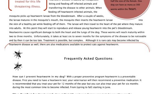 West Hill Animal Clinic Heartworm Season information