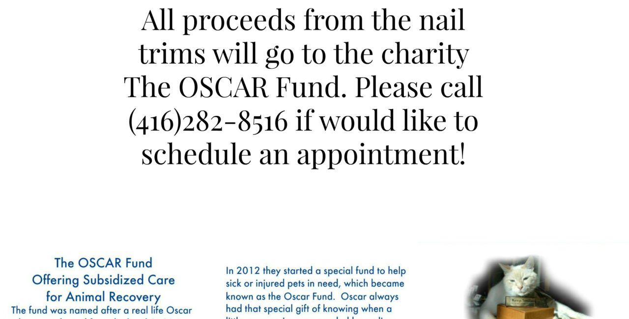 $10 Nail Trims for the Month of March poster