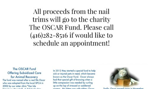 $10 Nail Trims for the Month of March poster