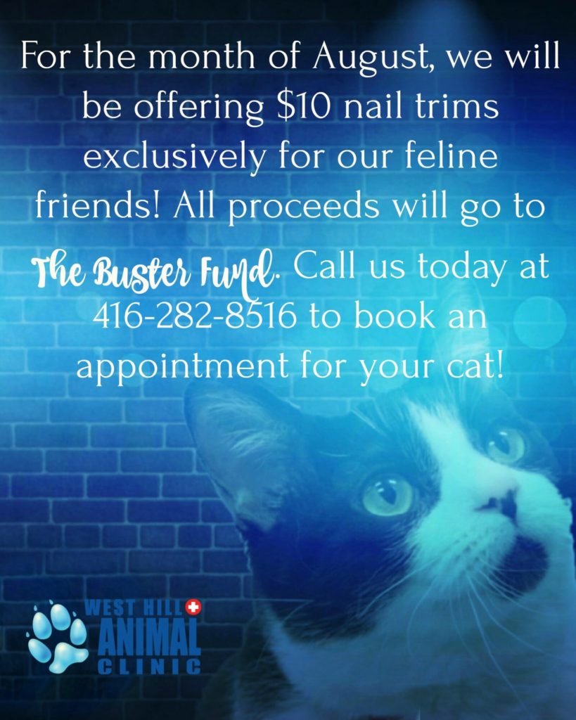 West Hill Animal Clinic $10 nail trims August Promotions poster
