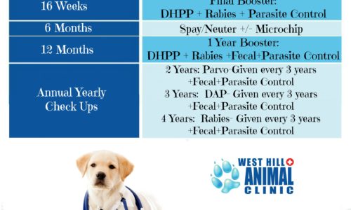 West Hill Animal Clinic Puppy Vaccines information