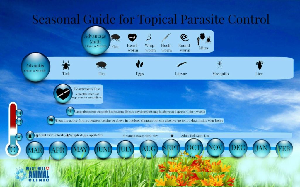 Seasonal Guide for Topical Parasite Control