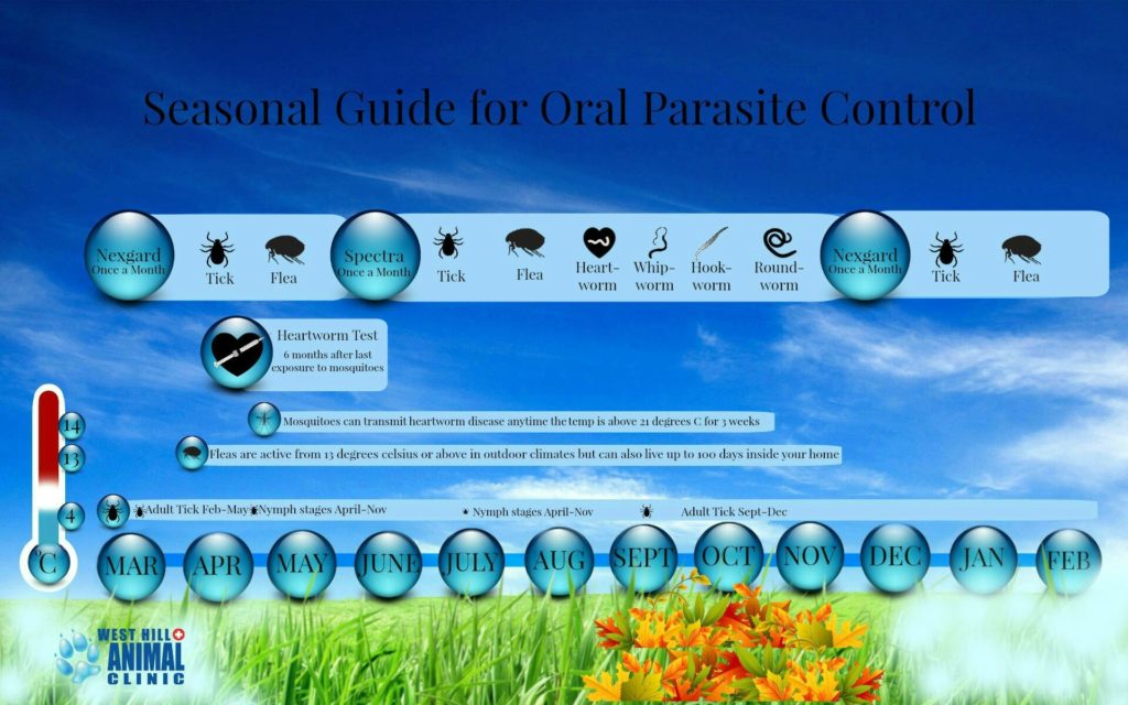 Seasonal Guide for Oral Parasite Control