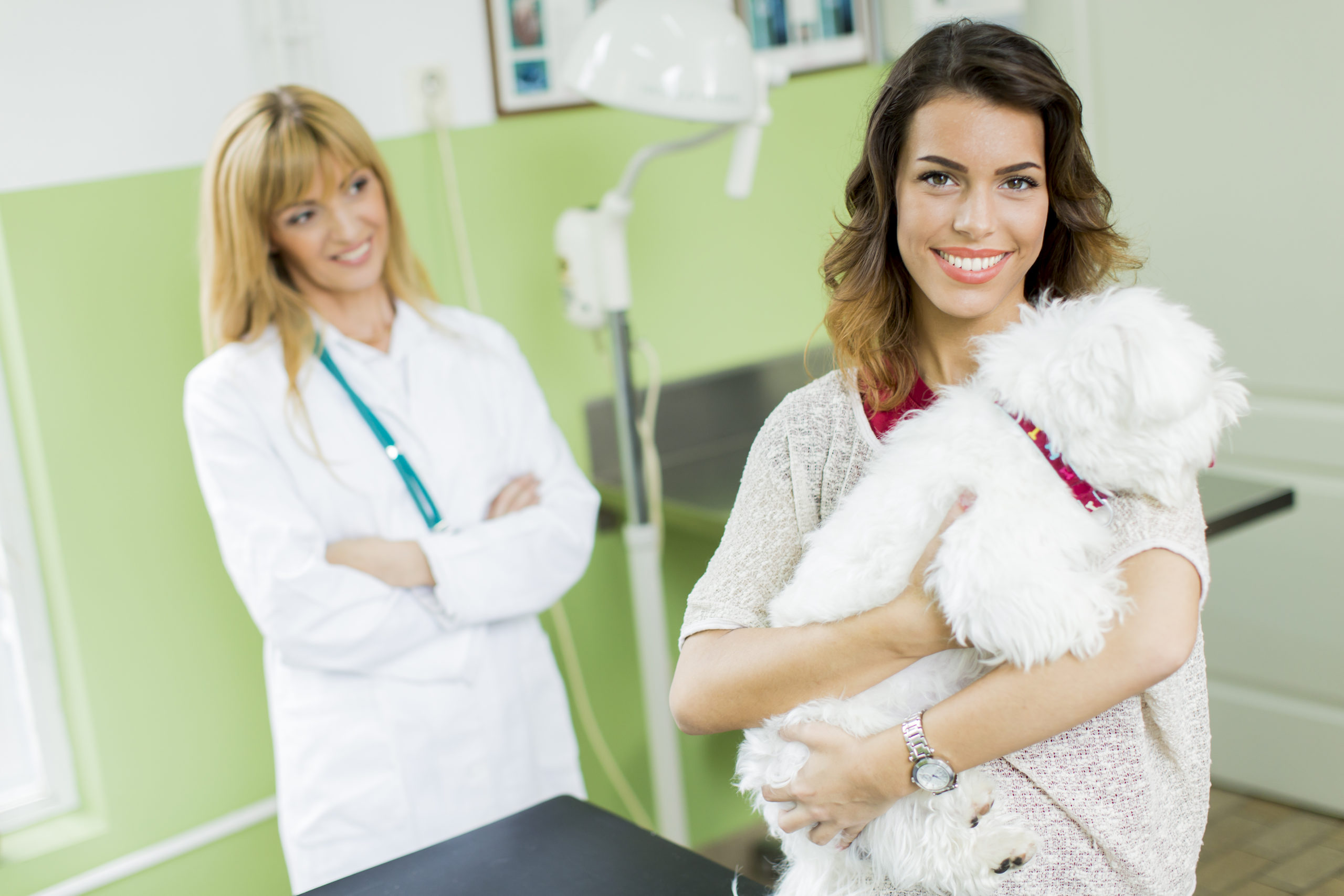 Working as a Animal Care Assistant - West Hill Animal Clinic