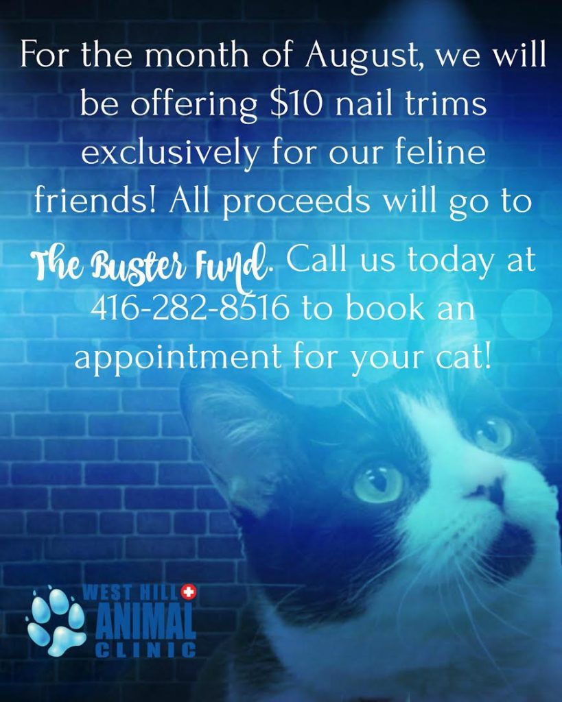 flyer for nail trims