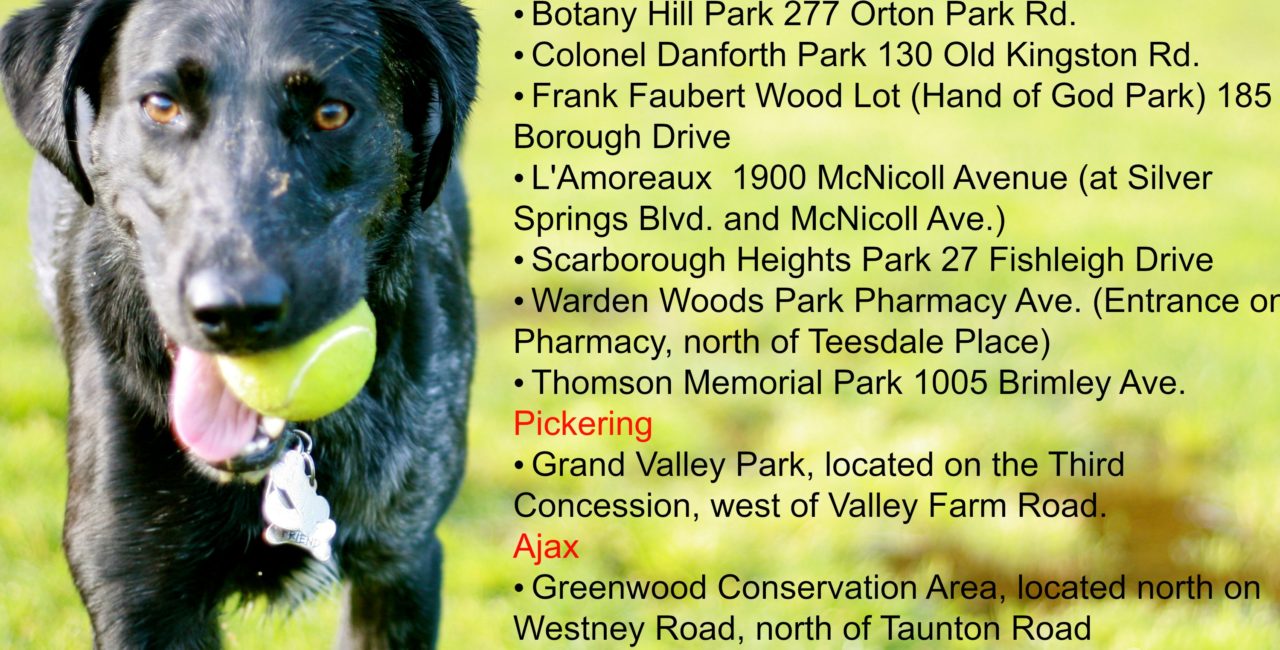 Local Dog Parks in Scarborough, Pickering and Ajax information