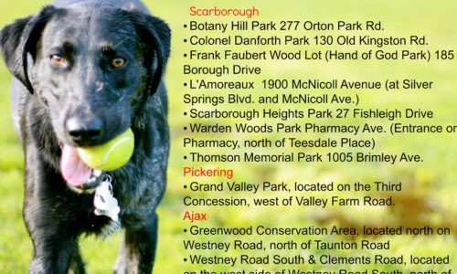 Local Dog Parks in Scarborough, Pickering and Ajax information