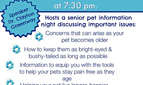 Senior Pet Night event poster