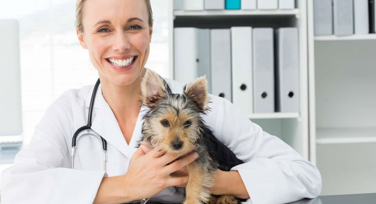 Veterinary Office Etiquette - West Hill Animal Clinic
