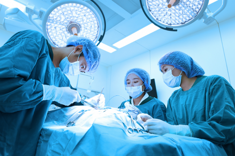 Vet Techs in Operating Room Assisting in Surgery