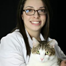 Dr. Melissa Pambianchi Veterinarian at West Hill Animal Clinic